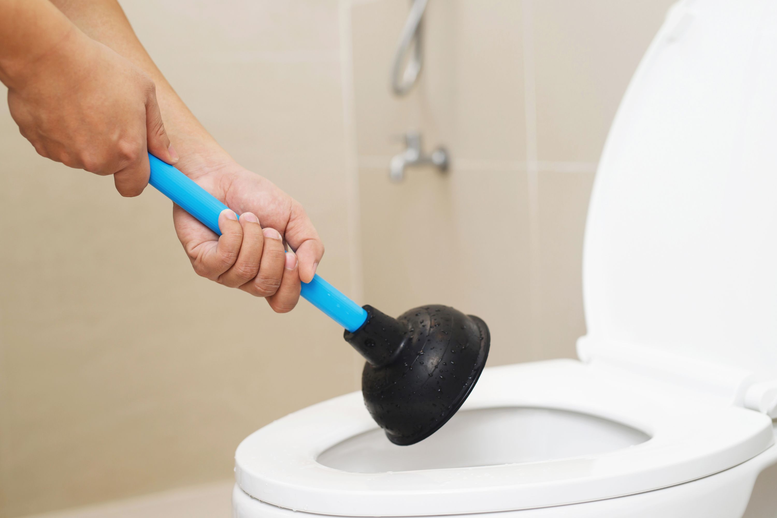 How to Unblock a Toilet | 6 Methods to Try | Clogged Toilets